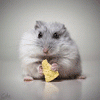 Wittlit's picture